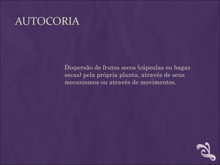 AUTOCORIA



      Dispersão de frutos secos (cápsulas ou bagas
      secas) pela própria planta, através de seus
      mecanismos ou através de movimentos.
 