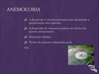 ANEMOCORIA
      A dispersão é um dos processos que garantem a
       perpetuação das espécies.
      A dispersão de sementes podem ser feitas em
       quatro mecanismos.
      Sementes Aladas
      Partes da plantas adaptadas para

     vôo.
 