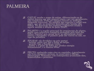 PALMEIRA

        CAULE: recebe o nome de estipe, diferenciando-se de
         outras árvores por não possuir casca e por ser, geralmente,
         não ramificado. Pode ser simples (único) ou múltiplo,
         formando touceiras. Na maioria das espécies o estipe tem
         anéis, que são as cicatrizes deixadas pela bainha das
         folhas. Na descrição das espécies, o diâmetro citado é
         aquele medido à altura do peito (DAP).
        PALMITO: é a região principal de crescimento da planta,
         sendo uma estrutura compacta protegida pela base das
         folhas (bainha) que, nesse local, se apresentam muito
         eretas e alongadas. O palmito pode ser visível ou não, no
         topo da palmeira.
        FOLHAS: são divididas em três partes:
         - bainha: parte que liga a folha ao estipe.
         - pecíolo: liga a bainha ao limbo.
         - limbo: é a parte da folha que produz energia
         (fotossíntese), é a lâmina foliar.

        FRUTO: conhecido como côco ou coquinho, é geralmente
         um fruto drupáceo carnoso, às vezes seco e fibroso
         (mesocarpo). Sementes com endosperma acumulado óleo,
         hemicelulose e proteínas.
 
