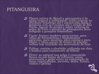 PITANGUEIRA
      Planta nativa do Brasil a pitangueira é de
       clima tropical e subtropical; muito comum no
       Nordeste brasileiro ela é encontrada desde a
       fronteira com as Guianas até o estado de São
       Paulo. Apesar do aroma e sabor exóticos da
       polpa do fruto o plantio da pitangueira ficou
       relegado a pomares domésticos.
      Caule: fornece madeira para tornos, para
       cabos de ferramentas e implementos
       agrícolas, para mourões, para esteios e para
       lenha; o cerne escuro do tronco de plantas
       velhas tem utilidade em marcenaria de luxo.
      Folhas: contém o alcalóide; utilizada em chás
       e banhos para tratamento de febres;
      Fruto: ao natural sua polpa é consumida
       fresca ou sob forma de refrescos, sucos;
       processada a polpa entra na composição de
       sucos engarrafados, sorvetes, doces, licores,
       vinhos e geléias
 