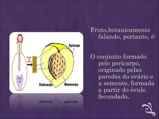 Fruto,botanicamente
  falando, portanto, é:


O conjunto formado
   pelo pericarpo,
   originado pelas
   paredes do ovário e
   a semente, formada
   a partir do óvulo
   fecundado.
 