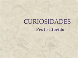 CURIOSIDADES
   Fruto híbrido :
 