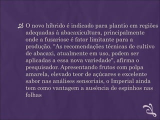  O novo híbrido é indicado para plantio em regiões
  adequadas à abacaxicultura, principalmente
  onde a fusariose é fator limitante para a
  produção. "As recomendações técnicas de cultivo
  de abacaxi, atualmente em uso, podem ser
  aplicadas a essa nova variedade", afirma o
  pesquisador. Apresentando frutos com polpa
  amarela, elevado teor de açúcares e excelente
  sabor nas análises sensoriais, o Imperial ainda
  tem como vantagem a ausência de espinhos nas
  folhas
 