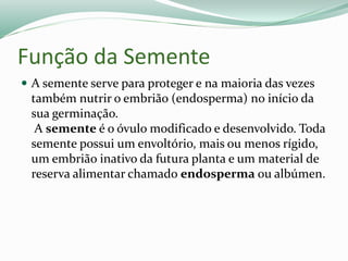 Frutos e sementes | PPTX