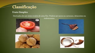 Fruto Simples
Derivados de um único ovário de uma flor. Podem ser secos ou carnosos, deiscentes ou
indeiscentes.
 