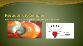 Formados a partir de um receptáculo floral com apenas um ovário.
 