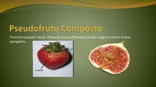 Ocorrem quando várias flores de uma inflorescência dão origem a vários frutos
agregados.
 