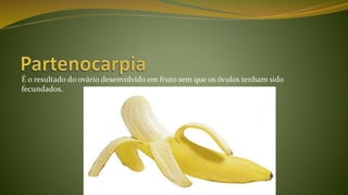 É o resultado do ovário desenvolvido em fruto sem que os óvulos tenham sido
fecundados.
 