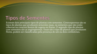 Existem dois principais tipos de plantas com sementes. Gimnospermas são os
tipos de plantas que produzem sementes nuas, ou sementes que não estão
cobertas ou crescem dentro de vagens ou frutas. O segundo tipo de plantas
com sementes são as angiospermas. Essas são o tipo de plantas que produzem
flores, podem ser classificadas pela presença de um ou dois cotilédones.
 