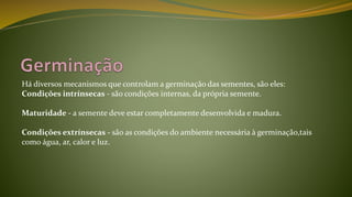 Há diversos mecanismos que controlam a germinação das sementes, são eles:
Condições intrínsecas - são condições internas, da própria semente.
Maturidade - a semente deve estar completamente desenvolvida e madura.
Condições extrínsecas - são as condições do ambiente necessária à germinação,tais
como água, ar, calor e luz.
 