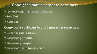  Que ela esteja inteira, madura e sadia.
 Solo fértil.
 Água e ar.
Como ocorre a dispersão dos frutos e das sementes:
Dispersão pelos animais.
 Dispersão pelo vento.
 Dispersão pela água.
 Dispersão dos frutos deiscentes.
Condições para a semente germinar:
 