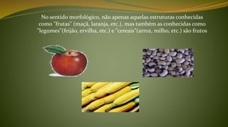 No sentido morfológico, não apenas aquelas estruturas conhecidas
como "frutas" (maçã, laranja, etc.), mas também as conhecidas como
"legumes"(feijão, ervilha, etc.) e "cereais"(arroz, milho, etc.) são frutos
 