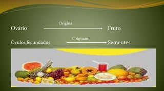 Ovário Fruto
Origina
Óvulos fecundados
Originam
Sementes
 