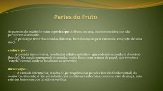As paredes do ovário formam o pericarpo do fruto, ou seja, todos os tecidos que não
pertencem á semente.
O pericarpo tem três camadas distintas, bem ilustradas pela estrutura, em corte, de uma
maçã
endocarpo –
a camada mais interna, resulta das células epiteliais que rodeiam a cavidade do ovário
(lóculo). Na maçã corresponde á camada, muito fina e com textura de papel, que envolve a
“estrela” central, onde se localizam as sementes;
mesocarpo –
A camada intermédia, resulta do parênquima das paredes (tecido fundamental) do
ovário. Geralmente, é rico em substâncias nutritivas e saborosas, como no caso da maçã, mas
existem frutos em que tal não se verifica.
 