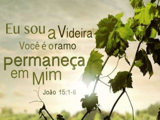 Frutos para a glória de deus