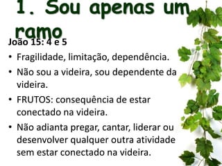 1. Sou apenas um
ramoJoão 15: 4 e 5
• Fragilidade, limitação, dependência.
• Não sou a videira, sou dependente da
videira.
• FRUTOS: consequência de estar
conectado na videira.
• Não adianta pregar, cantar, liderar ou
desenvolver qualquer outra atividade
sem estar conectado na videira.
 