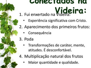 Conectados na
Videira:1. Fui enxertado na Videira:
• Experiência significativa com Cristo.
2. Aparecimento dos primeiros frutos:
• Consequência
3. Poda
• Transformações de caráter, mente,
atitudes. É desconfortável.
4. Multiplicação natural dos frutos
• Maior quantidade e qualidade.
 