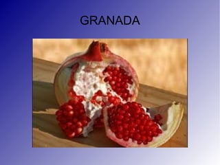 GRANADA
 