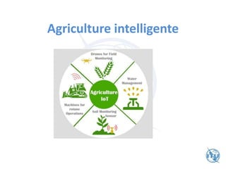 Agriculture intelligente
 
