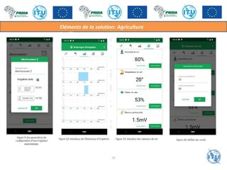 Eléments de la solution: Agriculture
intelligente
36
 