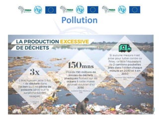 Pollution
 