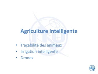 Agriculture intelligente
• Traçabilité des animaux
• Irrigation intelligente
• Drones
 