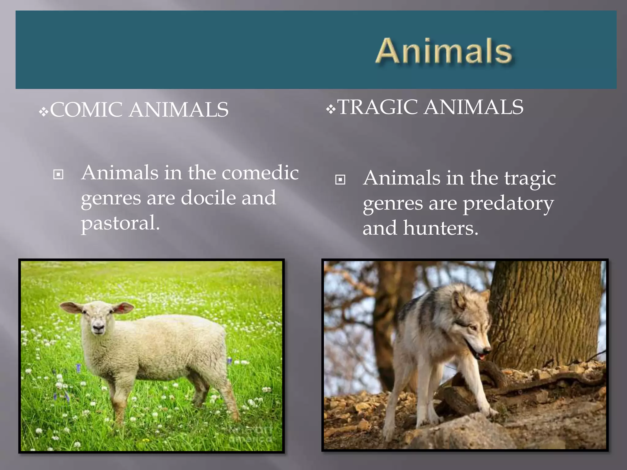 COMIC ANIMALS TRAGIC ANIMALS
 Animals in the comedic
genres are docile and
pastoral.
 Animals in the tragic
genres are predatory
and hunters.
 