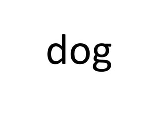 dog

 