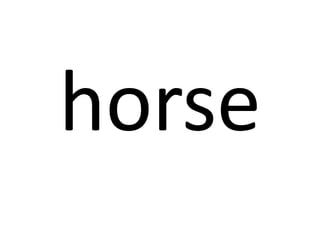 horse

 