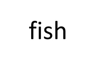 fish

 