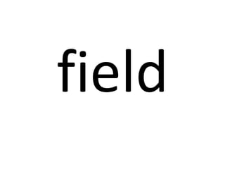 field

 