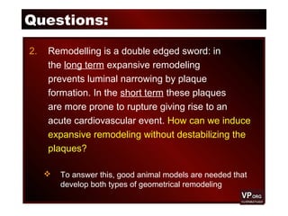 Questions:
2. Remodelling is a double edged sword: in
the long term expansive remodeling
prevents luminal narrowing by plaque
formation. In the short term these plaques
are more prone to rupture giving rise to an
acute cardiovascular event. How can we induce
expansive remodeling without destabilizing the
plaques?
 To answer this, good animal models are needed that
develop both types of geometrical remodeling
 