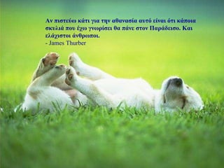 Αν πιστεύω κάτι για την αθανασία αυτό είναι ότι κάποια σκυλιά που έχω γνωρίσει θα πάνε στον Παράδεισο. Και ελάχιστοι άνθρωποι. - James Thurber 