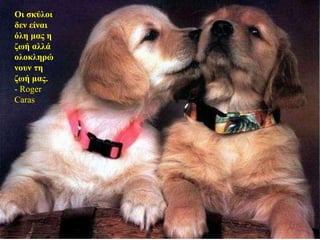 Οι σκύλοι δεν είναι όλη μας η ζωή αλλά ολοκληρώνουν τη ζωή μας. - Roger Caras 