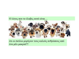 Ο λόγος που το έλαβες αυτό είναι… ότι οι σκύλοι μυρίζουν τους καλούς ανθρώπους από ένα μίλι μακριά!!! 