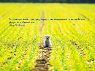 Δεν υπάρχει καλύτερος ψυχίατρος στον κόσμο από ένα κουτάβι που  γλύφει το πρόσωπό σου - Ben Williams 