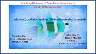 West BengalUniversity Of Animal And Fishery Sciences
Faculty Of Fishery Sciences
Indigenous Technological Knowledge (ITK’s) used in aquaculture for curing the
diseases
Submitted to:
Prof. Gadadhar Dash
(Dept. of AAH)
Submitted by:
Rajesh Mandal
FS/2015/24
B.F.Sc. 3rd Yr. 5th Semester
AAH -312
 