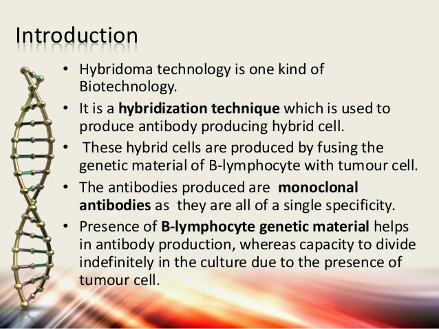 History of hybridoma technology