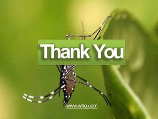 ThankYou
www.who.com
 