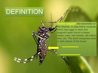 `
Aedes aegypti, the transmitter of
the disease, is aday-biting mosquito
which lays eggs in clear and
stagnant water found in flower
vases, cans, rain barrels, old rubber
tires, etc. The adult mosquitoe srest
in dark places of the house
DEFINITION
 