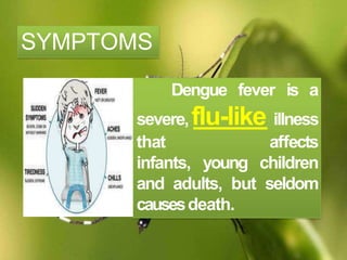 Dengue fever is a
severe,flu-like illness
that affects
infants, young children
and adults, but seldom
causesdeath.
SYMPTOMS
 