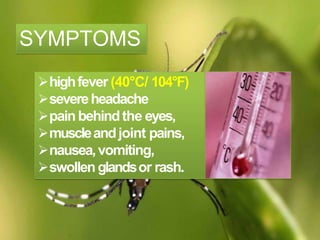 highfever (40°C/ 104°F)
severeheadache
painbehindthe eyes,
muscleandjoint pains,
nausea,vomiting,
swollenglandsor rash.
SYMPTOMS
 