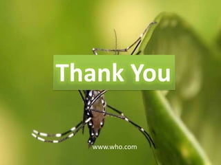 Thank You
www.who.com
 