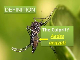 `
The Culprit?
Aedes
aegypti
DEFINITION
 