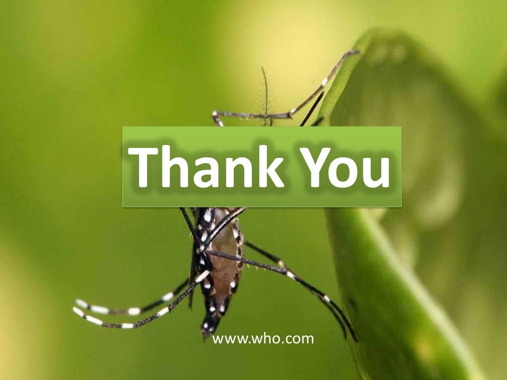 dengue-ppt