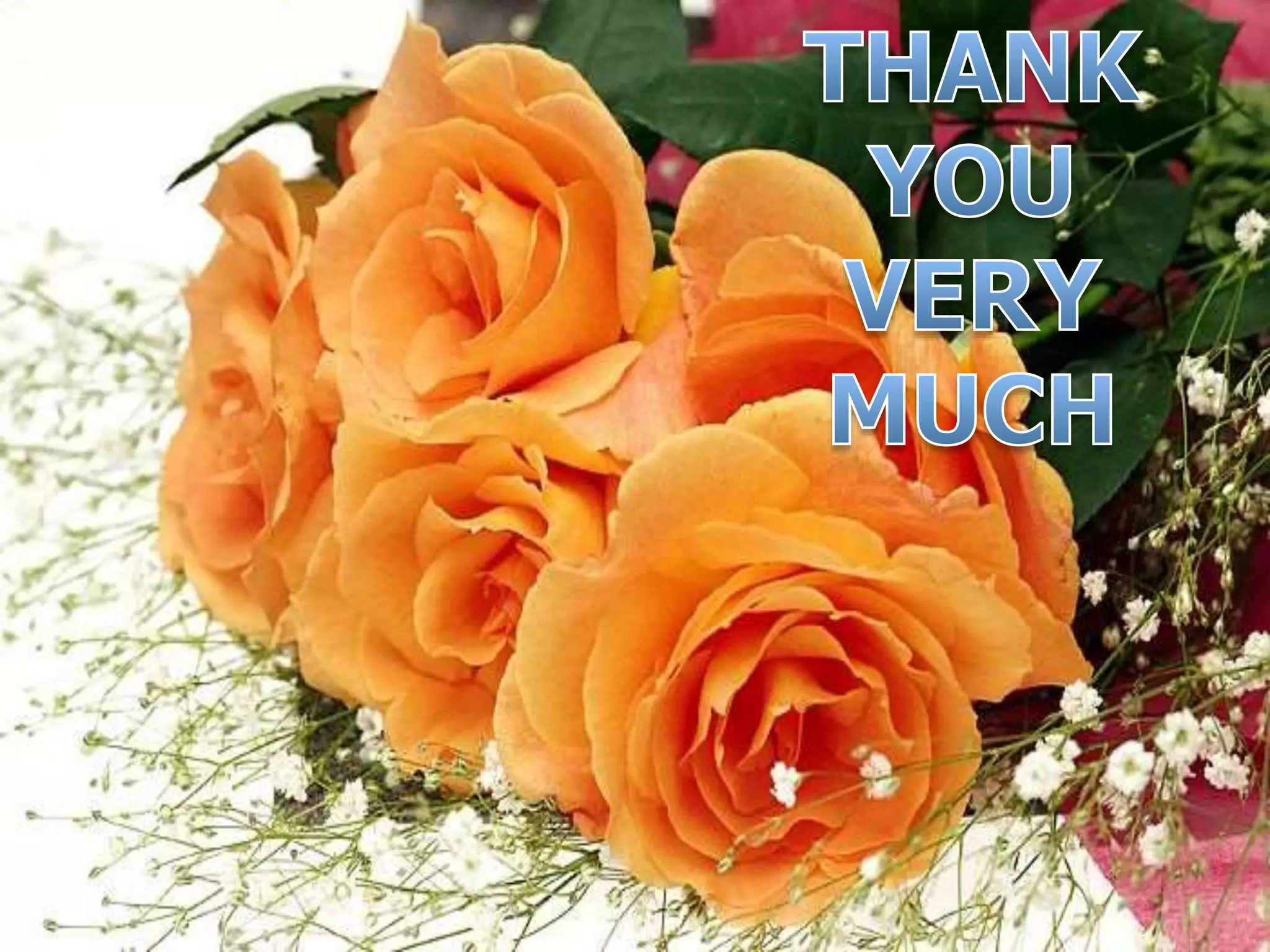 Merger & Acquisition, Insurance and Securitisation