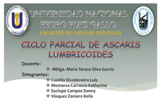 Docente:
 Mblga. María Teresa Silva García
Integrantes:
 Castillo Rivadeneira Luis
 Mestanza Carrasco Katherine
 Suclupe Campos Danny
 Vásquez Zamora Keila
 