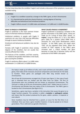 11111 Fact Sheet 54| FRAGILE X SYNDROME
1 1
Page 1 of 5
www.genetics.edu.au Updated 9 December 2015
This fact sheet describes the condition Fragile X and includes a discussion of the symptoms, causes and
available testing.
In summary
 Fragile X is a condition caused by a change in the FMR-1 gene, on the X chromosome
 It is characterised by particular physical features, varying degrees of learning
difficulties and behavioural and emotional problems
 Fragile X affects around 1 in 4,000 males and between 1 in 5,000 and 1 in 8,000 females.
WHAT IS FRAGILE X SYNDROME?
Fragile X syndrome is the most common known
cause of inherited intellectual disability
Intellectual problems in people with fragile X
syndrome can vary from mild learning difficulties
through to severe intellectual disability
Emotional and behavioural problems may also be
present
Females with fragile X syndrome show varying
degrees of the condition, but are usually less
severely affected than males.
The features of the condition, and their severity,
are related to the genetic information in the faulty
gene causing the condition.
Fragile X syndrome affects about 1 in 4,000 males
and between 1 in 5,000 and 1 in 8,000 females.
WHAT CAUSES FRAGILE X SYNDROME?
Fragile X syndrome is caused by a variation in the
genetic information in the FMR-1 gene. Genes are
made up of a string of three letter ‘words’, or
triplets, using the letters A,T, C & G. The FMR-1
gene codes for a protein called FMRP that is
necessary for usual brain development and/or
function. In the FMR-1 gene, the triplet word
‘CGG’ can be repeated many times. When the
number of ‘CGG’ repeats in the FMR-1 gene
increases over a critical number, the gene
becomes so long that it becomes faulty and the
production of the FMRP is disrupted.
Our body is made up of millions of cells, and in each cell there are instructions, called
genes, that make all the necessary structural components and chemicals for the body
to function. These genes are packaged onto little long strands known as
chromosomes.
We all have 46 chromosomes arranged into 23 pairs (see Figure 1). One copy of each
pair is inherited from our mother and the other from our father. The first 22
chromosome pairs are numbered and are known as autosomal chromosomes. The
23rd pair is made up of the sex chromosomes called X and Y. Males have an X and a Y
chromosome and females have two copies of the X chromosome. The FMR-1 gene is
located on the X chromosome (See figure 54.1).
Sometimes, a gene may have a variation in the instruction that causes the gene to no
longer function properly. This variation is called a mutation or pathogenic variant,
and means that the product produced by the gene, called a protein, is impaired or
even absent.
Gene mutations may be inherited from a parent, or occur for the first time in an
individual. Once you have a gene mutation however, it may be passed on to future
generations. This is referred to as genetic inheritance.
 