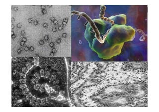 JAVIER SANCHEZ PIRIZ   18
 