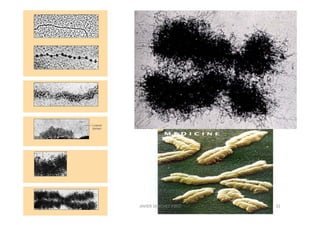 JAVIER SANCHEZ PIRIZ   32
 